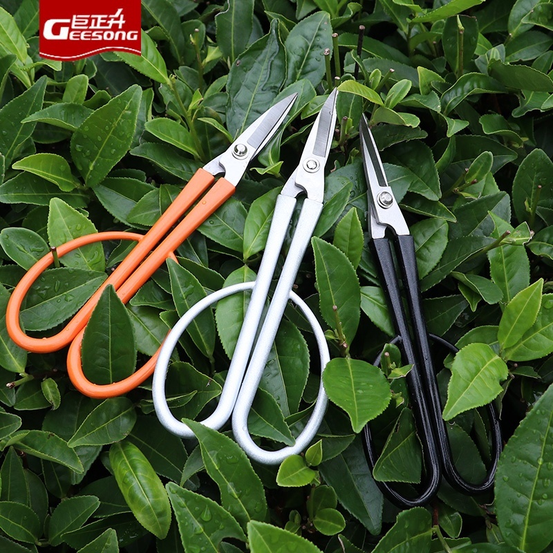 Geesong Kéo cắt tỉa cây cảnh bằng thép không gỉ Geesong — dùng cho lá, hoa lan và cắt tỉa chính xác