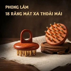 Lược massage đầu – massage đầu, dưỡng sinh, dưỡng tóc và chăm sóc tóc, dưỡng chân tóc, lược bằng đồng thau, dùng được toàn thân, massage cạo gió.