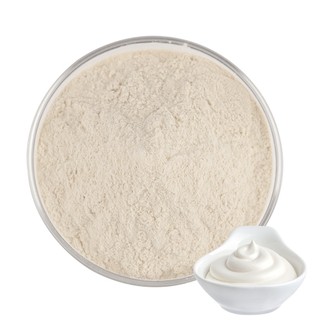 Cung cấp bột sữa chua 500g / 1000g Bột sữa chua Bột sữa chua khô Bột sữa chua ăn liền