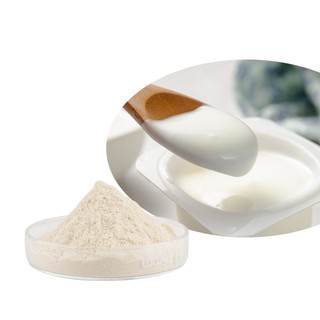 Cung cấp bột sữa chua 500g / 1000g Bột sữa chua Bột sữa chua khô Bột sữa chua ăn liền