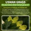 SEVICH Thanh Dầu Gội Usman 120g Thanh Dầu Gội Tóc Tự Nhiên Thực Vật Hữu Cơ Để Chăm Sóc Da Đầu Tóc