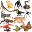 Rừng rắn mô phỏng mô hình động vật vẹt bướm nhện trăn báo gibbon toucan đồ chơi