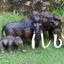 Mô Phỏng Chắc Chắn Thế Giới Động Vật Hoang Dã Mô Hình Voi Vườn Thú Tiền Sử Mammoth Trẻ Em Đồ Chơi Điêu Khắc