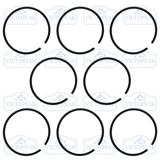 Vòng Pít Tông 44mm 40mm Thay Thế Cho Động Cơ Chổi Than 44-5 40-5 44F-5 40F-5