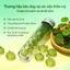 Viên nang phục hồi da Essence-Centella Asiatica + Ceramide AP / NP / EOP, Giảm 6 loại Giảm, Tăng cường rào cản bảo vệ da, Đặc biệt làm cho da giảm nhạy cảm 21 viên