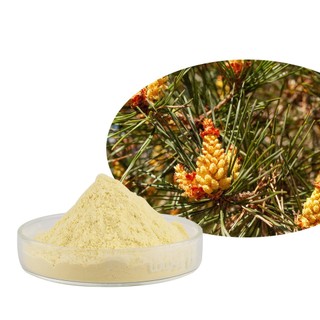 Bán buôn số lượng lớn 99% Cell Wall Broken Pine Pollen Pinus Massoniana Powder 500g / 1000g Broken Wall Pine Pollen