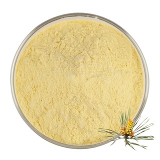 Bán buôn số lượng lớn 99% Cell Wall Broken Pine Pollen Pinus Massoniana Powder 500g / 1000g Broken Wall Pine Pollen