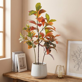 Cây Croton nhân tạo - Lá giả đa dạng thực tế cho phòng khách gia đình, văn phòng & trang trí nhiệt đới