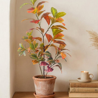Cây Croton nhân tạo - Lá giả đa dạng thực tế cho phòng khách gia đình, văn phòng & trang trí nhiệt đới