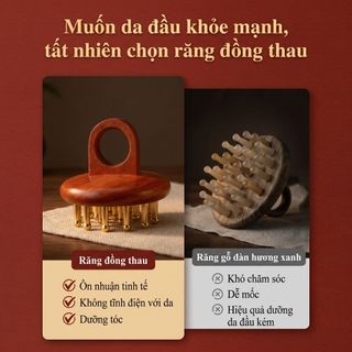 Lược  chải massages đầu Áp dụng cho dụng cụ massage cho cơ thể, vai và cổ