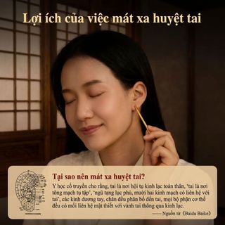 Cây lăn đồng bấm huyệt tai – Giảm ù tai nhức đầu hiệu quả, hỗ trợ điều trị mất ngủ căng thẳng, quà tặng sức khỏe ý nghĩa