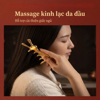 Đồng thau Đa Năng Mặt nạ Lược nạo vét Đầu Kinh Tuyến Chuyên Dụng Lược Răng Rộng Bunny Mắt Mũi Máy Mát Xa