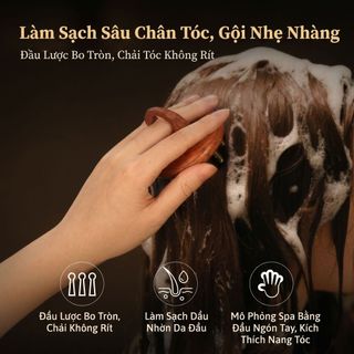 Lược  chải massages đầu Body dụng cụ massage Vai và cổ  bạch huyết thải độc gua sha