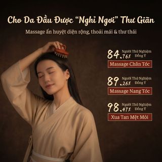 Lược  chải massages đầu Body dụng cụ massage Vai và cổ  bạch huyết thải độc gua sha