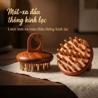 Đồng thau 29-Tooth Kinh Tuyến Massage Lược Gia Đình Nhào Bụng Với Tĩnh Mạch Túi Toàn Thân Đa Năng Merid
