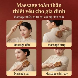 Lược Massage Mèo Đầu Da Đầu Kinh Tuyến Lược Dày Răng Rộng Trị Liệu Nữ Đồng Vàng Gỗ Đàn Hương Lược