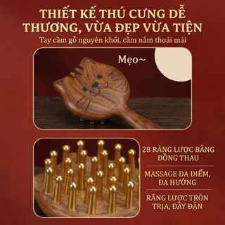 Lược Massage Mèo Đầu Da Đầu Kinh Tuyến Lược Dày Răng Rộng Trị Liệu Nữ Đồng Vàng Gỗ Đàn Hương Lược