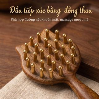 Lược Massage Mèo Đầu Da Đầu Kinh Tuyến Lược Dày Răng Rộng Trị Liệu Nữ Đồng Vàng Gỗ Đàn Hương Lược