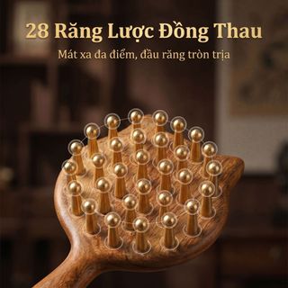 Lược Massage Mèo Đầu Da Đầu Kinh Tuyến Lược Dày Răng Rộng Trị Liệu Nữ Đồng Vàng Gỗ Đàn Hương Lược