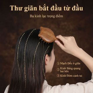 Lược Massage Mèo Đầu Da Đầu Kinh Tuyến Lược Dày Răng Rộng Trị Liệu Nữ Đồng Vàng Gỗ Đàn Hương Lược