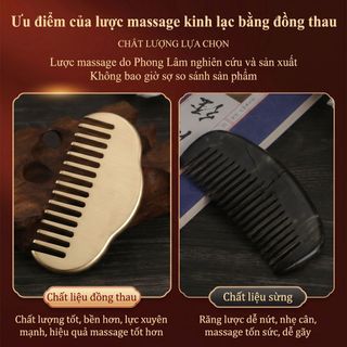 Đồng Thau Da Đầu Cạo Lược Kim Loại Da Đầu Máy Mát Xa Đầu Kinh Tuyến Lược Massage Toàn Thân Cạo Ban SPA Kích Hoạt Điểm Trị Liệu
