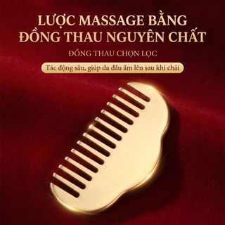 Đồng Thau Da Đầu Cạo Lược Kim Loại Da Đầu Máy Mát Xa Đầu Kinh Tuyến Lược Massage Toàn Thân Cạo Ban SPA Kích Hoạt Điểm Trị Liệu