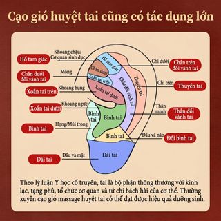 Đồng Nguyên Chất Châm Cứu Cạo Ban Tai Điểm Châm Cứu Massage Nạo vét Tai Nâng Mặt Kinh Tuyến Tai Chọn