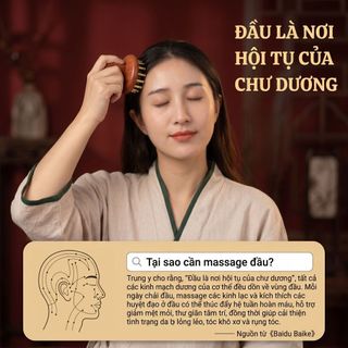 Lược Massage Lược Gỗ Đồng 29 Lược