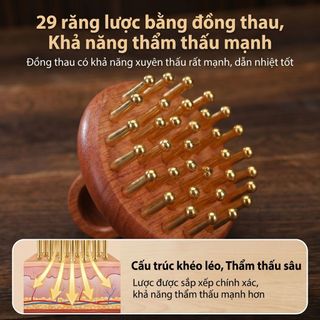 Lược Massage Lược Gỗ Đồng 29 Lược
