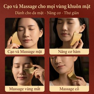 Scraping Board Facial Beauty Nâng cơ mặt Đường mũi Massage mắt Đồng mạ Dolphin Scraping Board guasha
