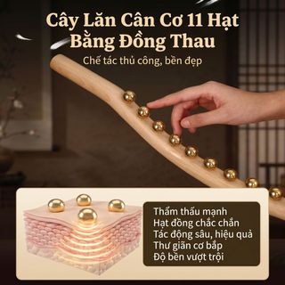 Dụng cụ massage bằng đồng thau cầm tay, thanh lăn cơ gân thư giãn toàn thân, xoa bóp thư giãn sau tập luyện