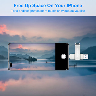 Type-C Flash Drive USB 3.0 2-in-1 OTG 2TB Large Capacity Metal Swivel Pen-style Dual Interface USB Drive,Suitable for iPhone and iPad Photo Data Storage