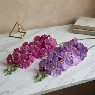 Nhân Tạo Phalaenopsis Hoa Lan Bó Hoa Nhà Trang Trí Đám Cưới Lụa Hoa Giả Bàn Trung Tâm Tiệc Văn Phòng Vườn Vintage Thẩm Mỹ Ins Phong Cách Bắc Âu DIY Quà Tặng Murang Maganda
