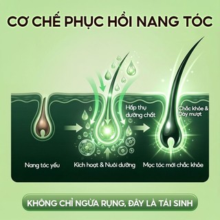 DR.ville Xịt Mọc Tóc Serum Dưỡng Tóc Kích Mọc Tóc Sịt Mọc Tóc Nhanh Kích Thích Mọc Tóc 50ML