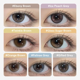 【Livestream】Kính áp tròng Kilala lens 1 ngày màu xám  DIA 14.0-14.5mm Ice Peach Grey/Gifted Grey  lens cận có độ ( 0-7 ) [ 2 chiếc ]