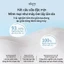 Sữa tắm dưỡng ẩm – Hương thơm lưu giữ lâu, chứa Amino Acid, làm sạch dịu nhẹ, Bộ quà tặng sữa tắm/ tắm dưỡng thơm360ml