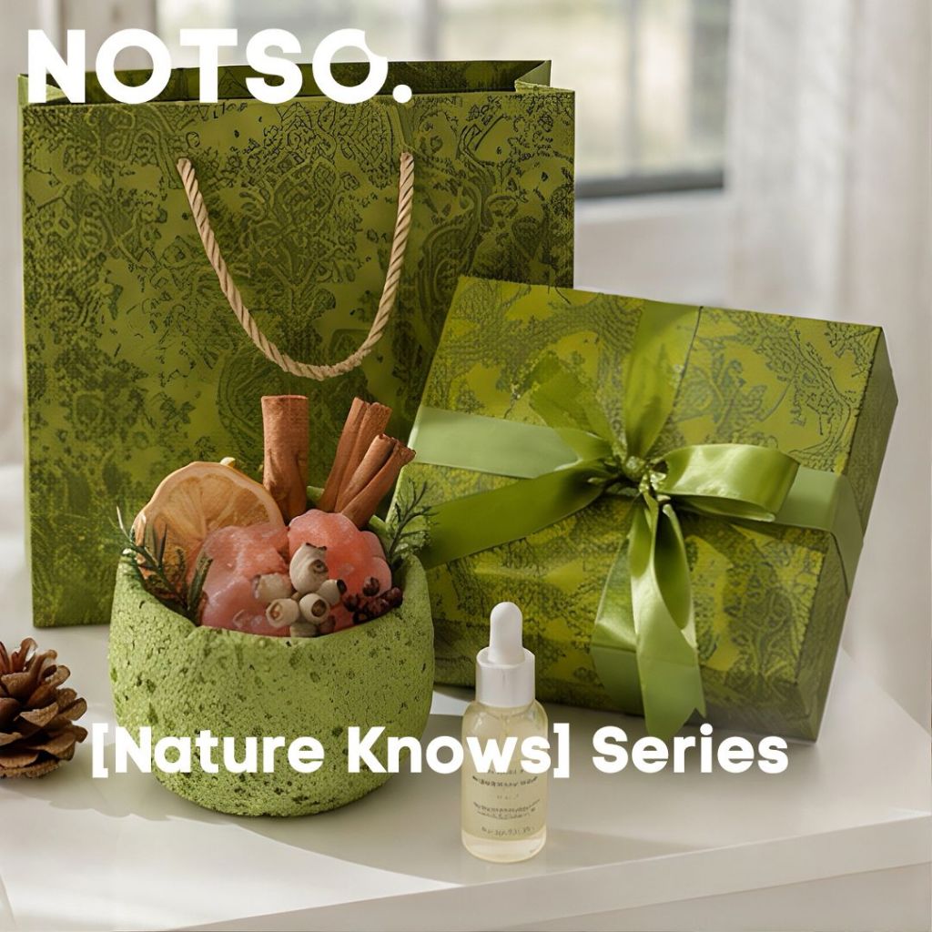 [QUÀ TẶNG TINH TẾ] Set Đá Thơm NOTSO Nature Knows Hộp Quà Cho Nữ Thơm Lâu Decor Phòng Quà Tặng Độc Đáo