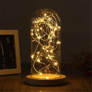 NOOKSTORY Bụi Đèn Cổ Tích Terrarium Để Bàn Terrarium Chai Trong Suốt Bình Thủy Tinh Hoa Hộp Bảo Quản