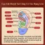 Bảng Bấm Huyệt Tai Bằng Đồng Thau Nguyên Chất, Dụng Cụ Massage Điểm Huyệt Tai, Giảm Đau Đầu, Hỗ Trợ Ngủ Ngon, Dụng Cụ Chăm Sóc Sức Khỏe Toàn Diện