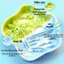 Bát ăn chậm bằng silicon đảo nhiệt đới MewaJump cho chó mèo, cho ăn vui nhộn & tiêu hóa lành mạnh