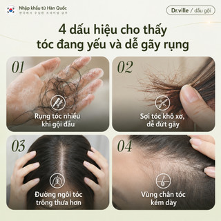 Dr.ville Tóc Dầu Gội Mọc Tóc Và Chống Ngăn Rụng Dầu Gội Gừng Thảo Mộc Kích Mọc Tóc Dầu Gội Giảm Rụng Tóc 500ml