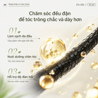 Dr.ville Tóc Dầu Gội Mọc Tóc Và Chống Ngăn Rụng Dầu Gội Gừng Thảo Mộc Kích Mọc Tóc Dầu Gội Giảm Rụng Tóc 500ml