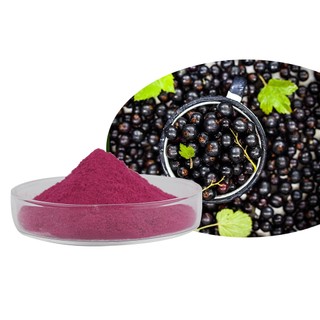 Bột trái cây Acai số lượng lớn chất lượng cao 500g / 1000g Bột Acai hữu cơ Bột Acai Berry