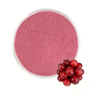 Bán chạy số lượng lớn Bột nam việt quất nguyên chất 500g / 1000g Bột nam việt quất hữu cơ