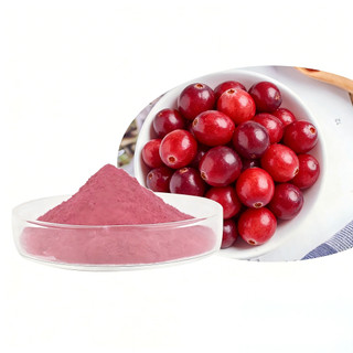 Bán chạy số lượng lớn Bột nam việt quất nguyên chất 500g / 1000g Bột nam việt quất hữu cơ