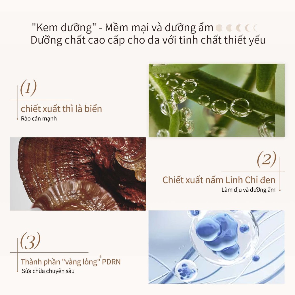 Kem Nền Mooekiss Dạng Bột, Che Khuyết Điểm, Kiềm Dầu, Lâu Trôi, Không Lem Không Nhòe