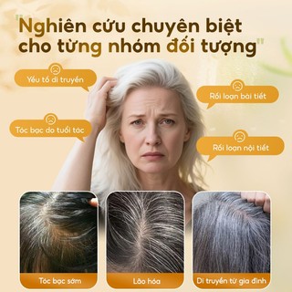 Dr.ville Dầu Gội Hà Thủ ô Dầu Gội đen Tóc Thảo Dược đầu Dầu Gội Phủ Bạc Dầu Gội Cỏ Cây Hoa Lá Dầu Gội Nhuộm Tóc Bubble 300ML
