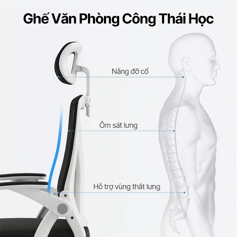 BRTHORY Ghế văn phòng, ghế học tập, ghế công thái học với chân thép chịu tải lên đến 120KG. | BigBuy360 - bigbuy360.vn