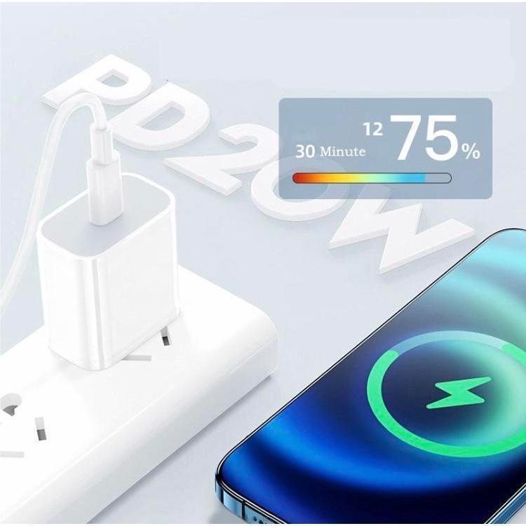 PD 20W 30W Bộ Sạc nhanh (Củ sạc+Dây sạc nhanh Loại C đến L 1m/2m)Sạc nhanh An toàn không lo nóng máy cho IP 6/7/8/plus/X/11/12/13/14/Plus/Pro/Max/Mini