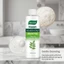 Dầu GleamXi Neem 100ml - Sữa rửa mặt dưỡng da đầu để làm sạch sâu & dưỡng ẩm, chống gàu & tóc khỏe mạnh